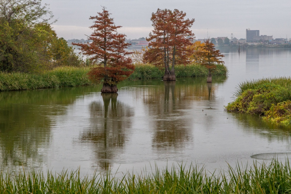 Pine Bluff’s Master Plan Focuses on People PB Junction