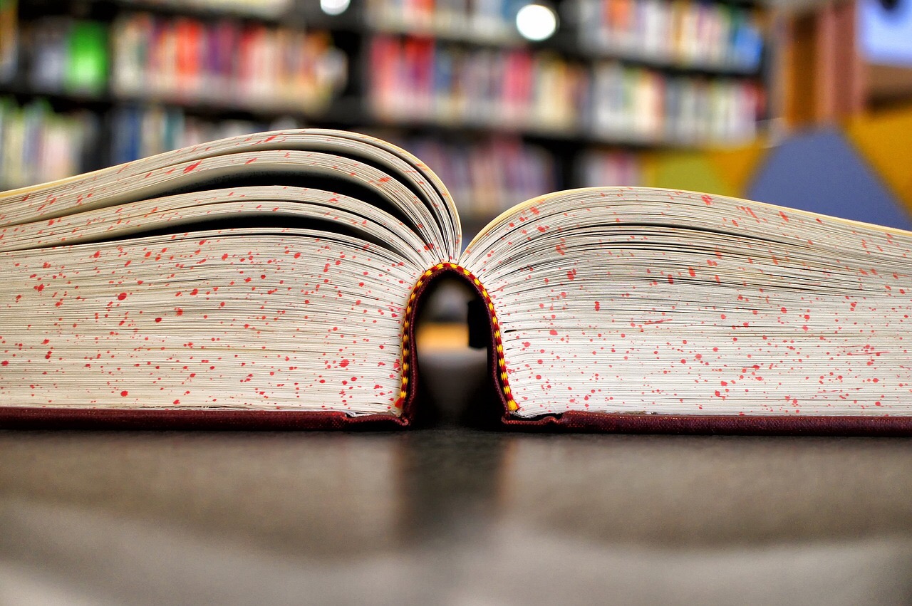 Open book in library. Credit: kshelton / Pixabay