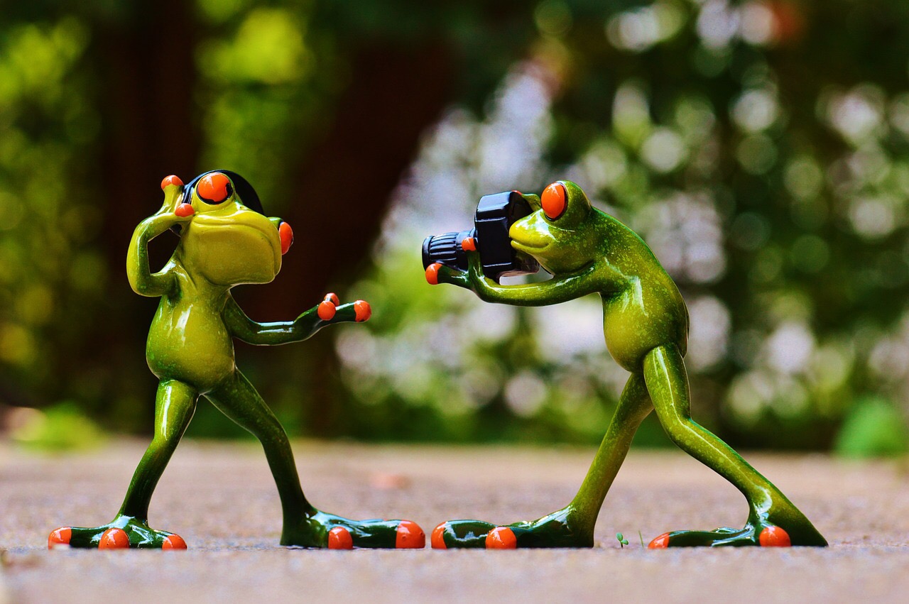 Stop Motion: One Snapshot at a Time. Frog figurines, one with camera, the other posing. Credit: Alexas_Fotos/Pixabay