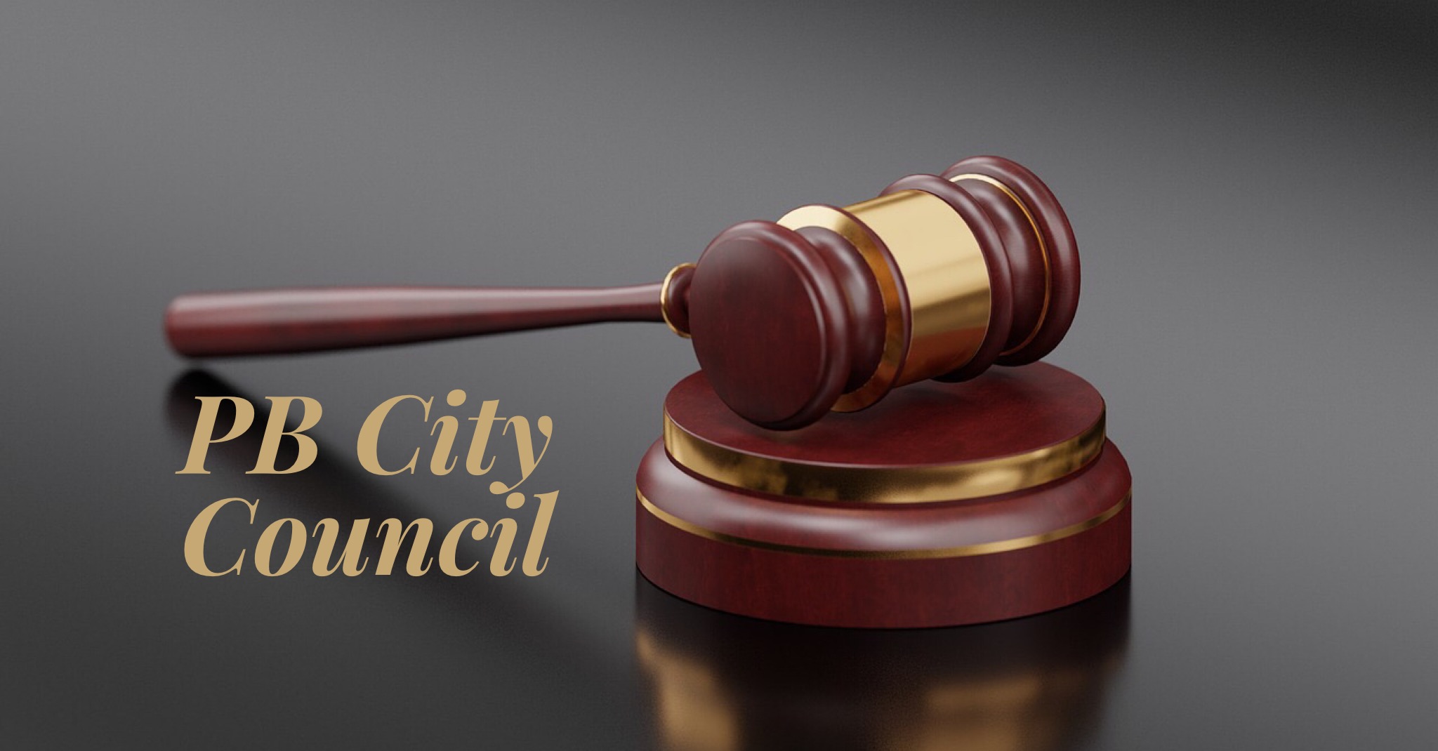 Pine Bluff City Council Meeting:  January 17