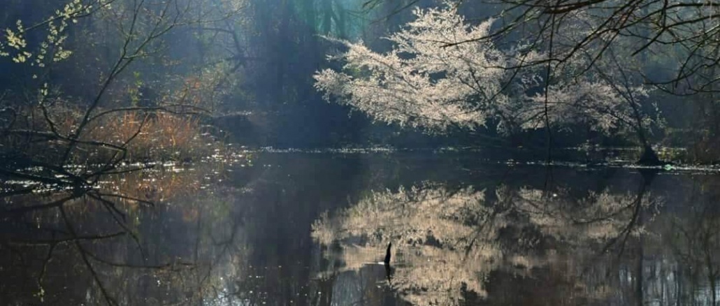Jamie’s Pic Bayou Exhibit